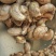 【当天发货】【A180超大颗粒盐焗带皮腰果】500g包装