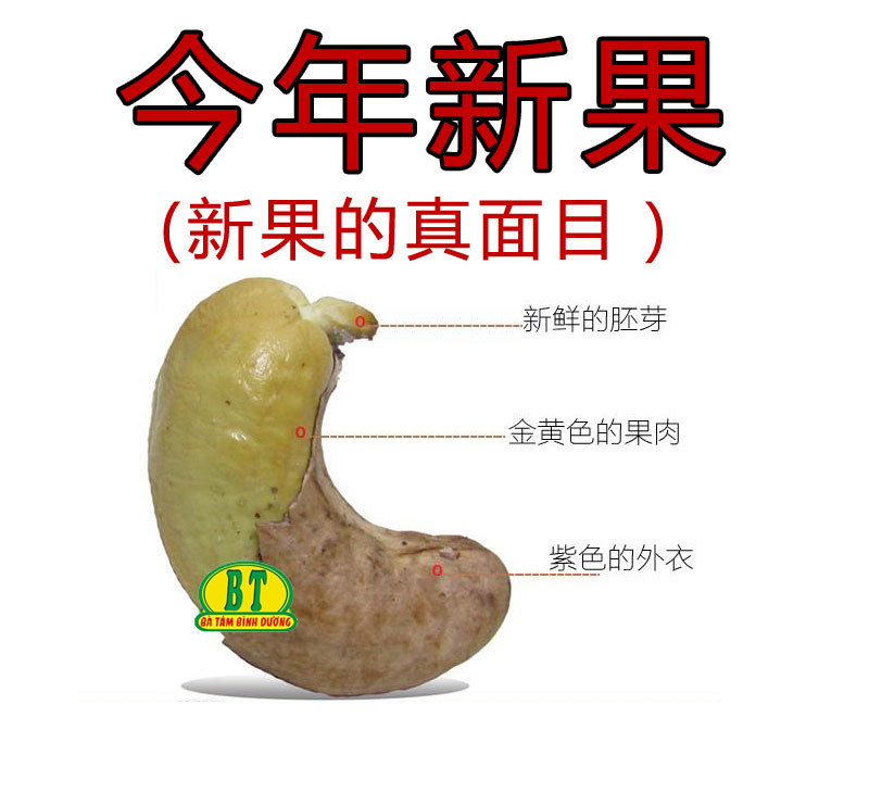 越南特产批发盐焗炭烧原味腰果进口带皮盐焗八婆腰果中越