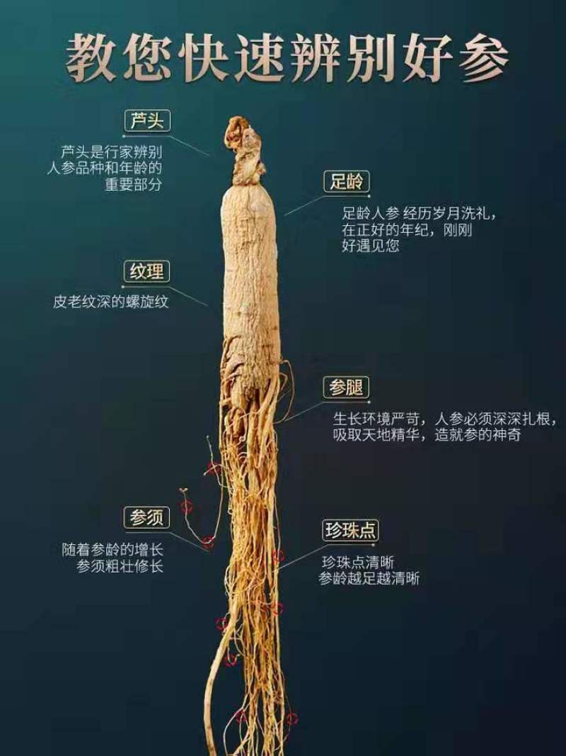 【特价】长白山人参药厂货园参5年根自用250g包邮