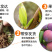 嫁接一级桃树苗,两年苗到8苗大苗包成活,包结果