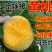 嫁接一级桃树苗,两年苗到8苗大苗包成活,包结果
