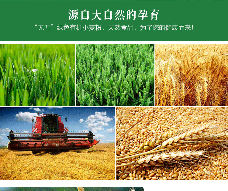 新疆艾力努尔Alnuri天然无添加绿色土各曼面粉5kg