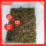黑斑蛙优质种苗成活率98%-包销合同-见效快成本低