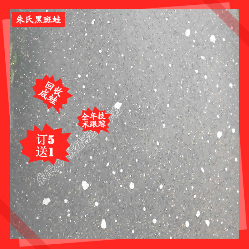 青蛙养殖技术加盟哪里好朱氏特种水产养殖，免费提供技术