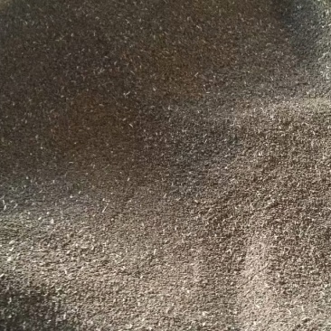 云南龙胆草种籽万亩龙胆基地直采直供坚龙胆种籽