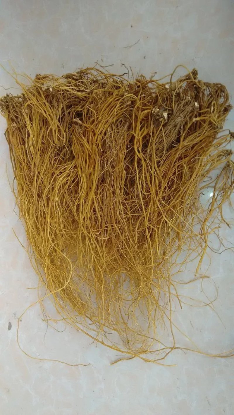 龙胆草选货批发中药材龙胆大货南龙胆龙胆草云南滇龙胆
