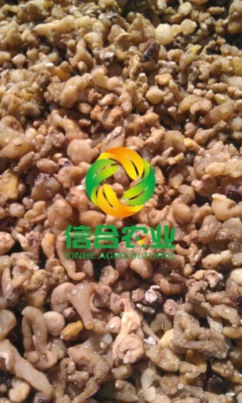 云南滇黄精个子批发中药材黄精国产个子大货产地直供
