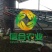 云南滇黄精个子批发中药材黄精国产个子大货产地直供