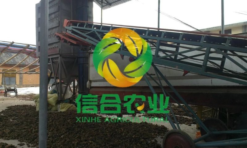 云南滇黄精个子批发中药材黄精国产个子大货产地直供