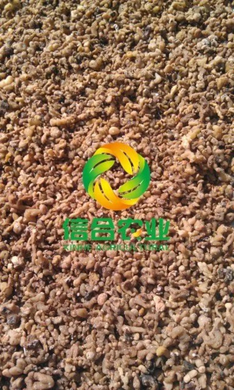 云南滇黄精个子批发中药材黄精国产个子大货产地直供