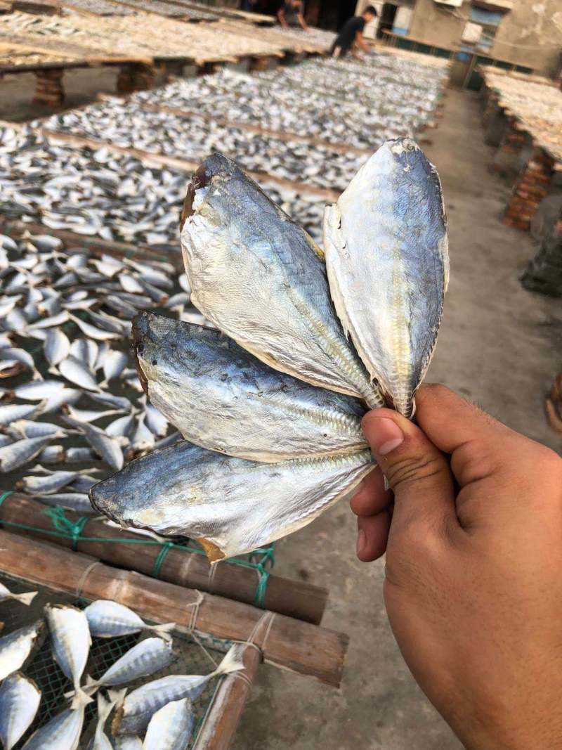 黄尾鱼干海鲜干货北海海味特产咸鱼干肉厚少刺黄尾鱼干厂