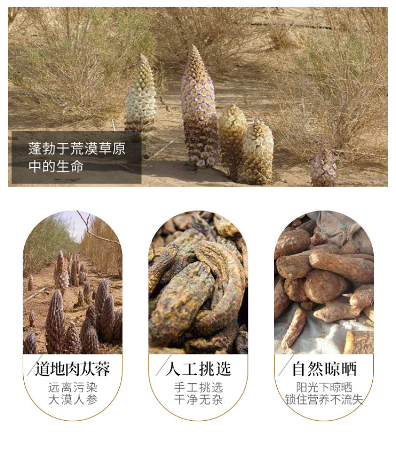 新疆中药材肉苁蓉配锁阳泡酒料沙漠人参硬肉苁蓉软大芸