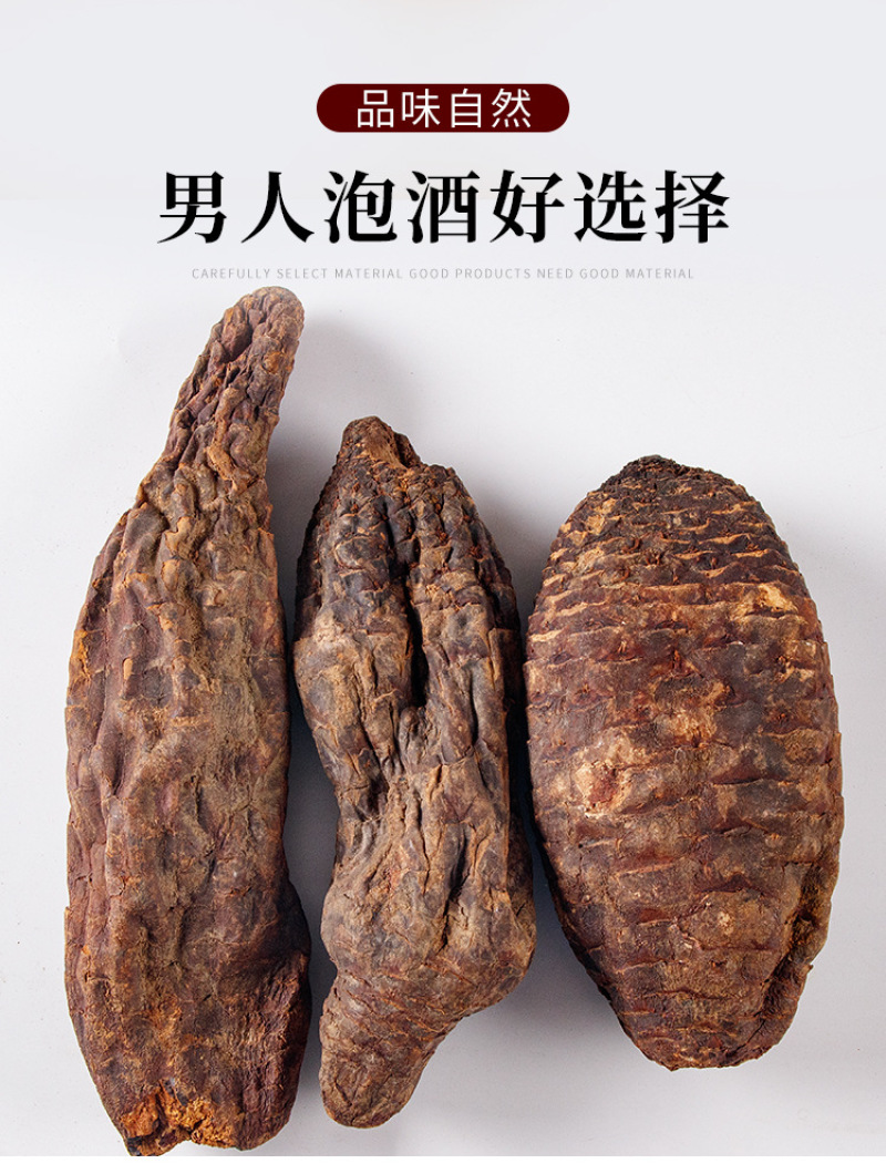 新疆中药材肉苁蓉配锁阳泡酒料沙漠人参硬肉苁蓉软大芸