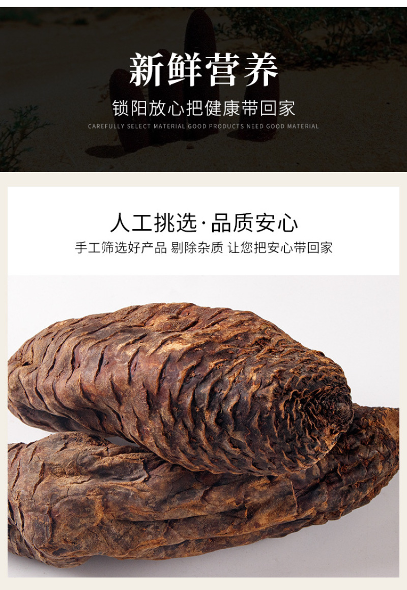 新疆中药材肉苁蓉配锁阳泡酒料沙漠人参硬肉苁蓉软大芸