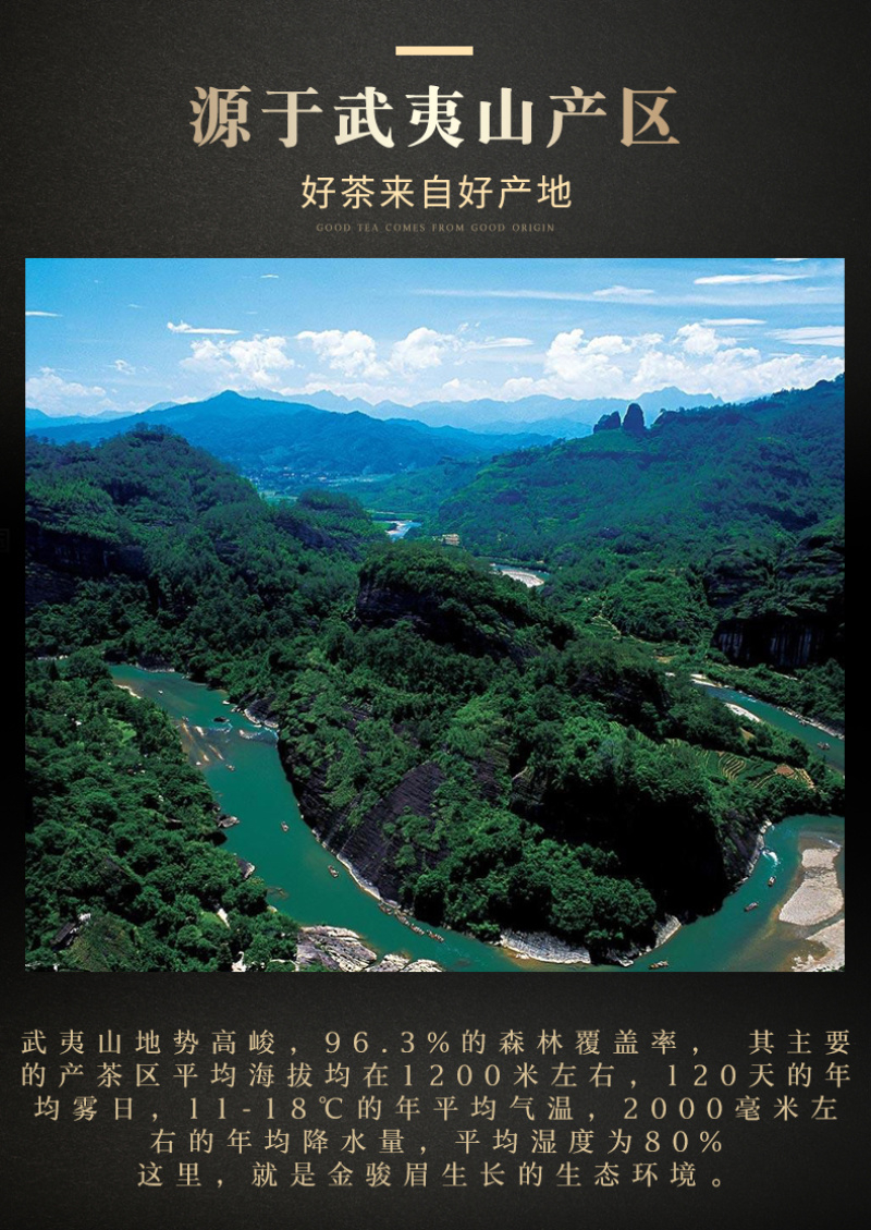 正宗金骏眉新茶蜜芽香福建武夷山红茶茶叶金俊眉特级