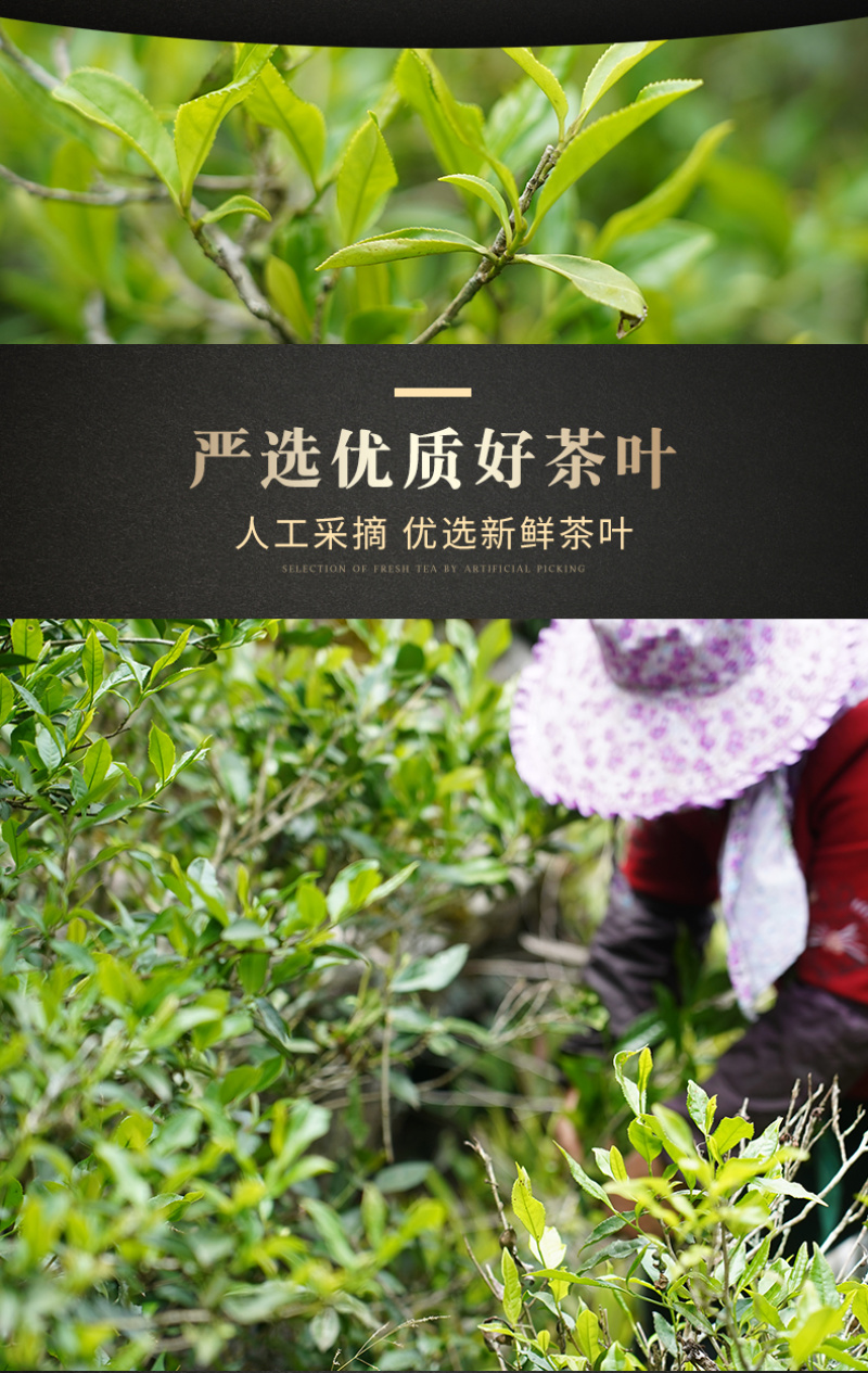 正宗金骏眉新茶蜜芽香福建武夷山红茶茶叶金俊眉特级