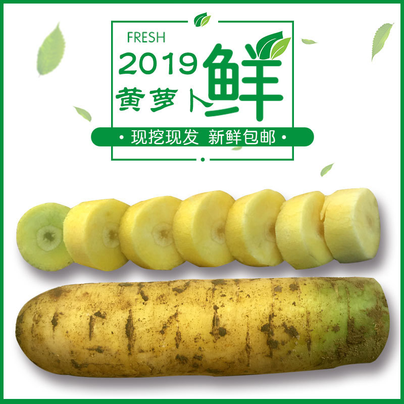 山西运城新鲜水果蔬菜黄皮胡萝卜可做新疆手抓饭5斤装