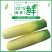 山西运城新鲜水果蔬菜黄皮胡萝卜可做新疆手抓饭5斤装