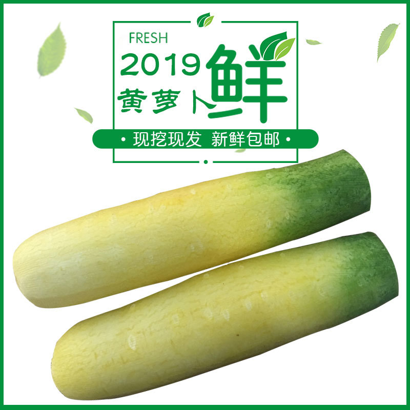 山西运城新鲜水果蔬菜黄皮胡萝卜可做新疆手抓饭5斤装