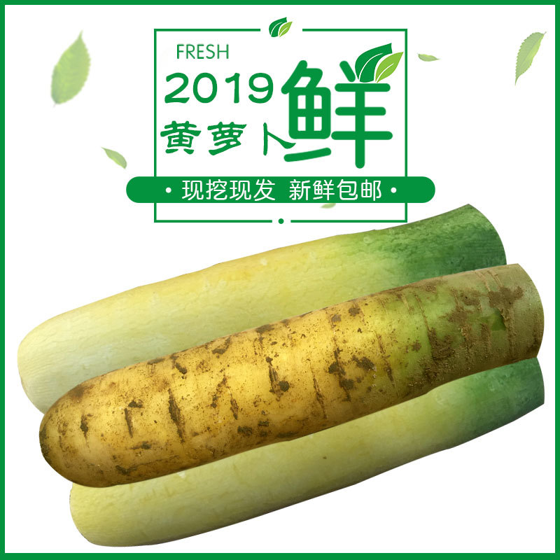 山西运城新鲜水果蔬菜黄皮胡萝卜可做新疆手抓饭5斤装