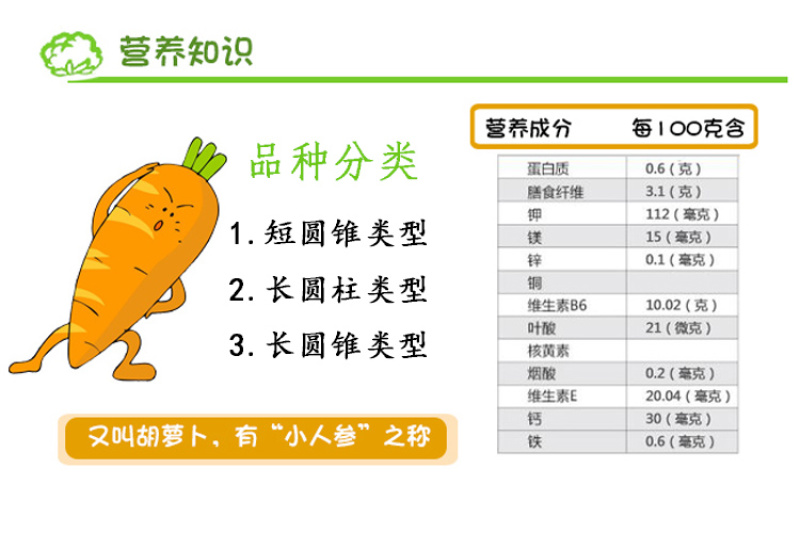 山西运城新鲜水果蔬菜黄皮胡萝卜可做新疆手抓饭5斤装