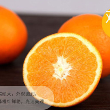 重庆奉节脐橙