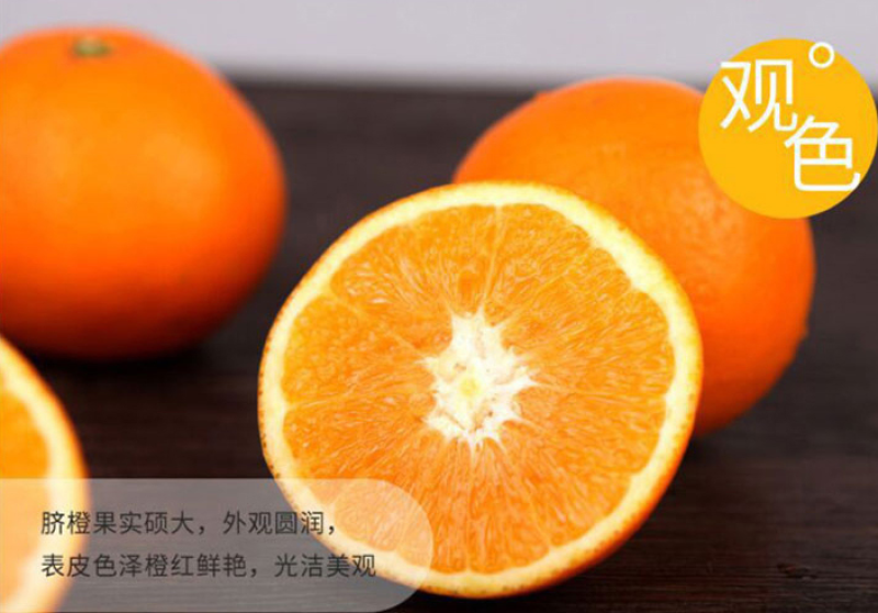 重庆奉节脐橙