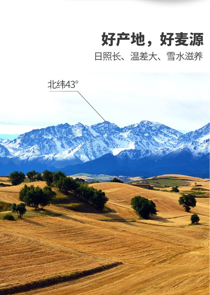 新疆奇麦园牌小麦粉5kg饺子粉拉条子拉面粉家用奇台面粉