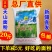 新疆面粉天山特一粉10kg20斤高拉面饺子面包小麦粉灰面