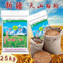 新疆天山特一面粉25kg家用全麦包子馒头拉条中高筋面粉