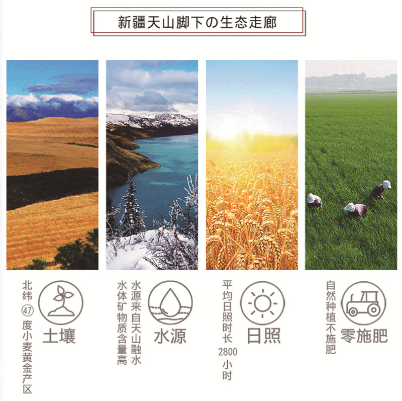 新疆天山特一面粉25kg家用全麦包子馒头拉条中高筋面粉