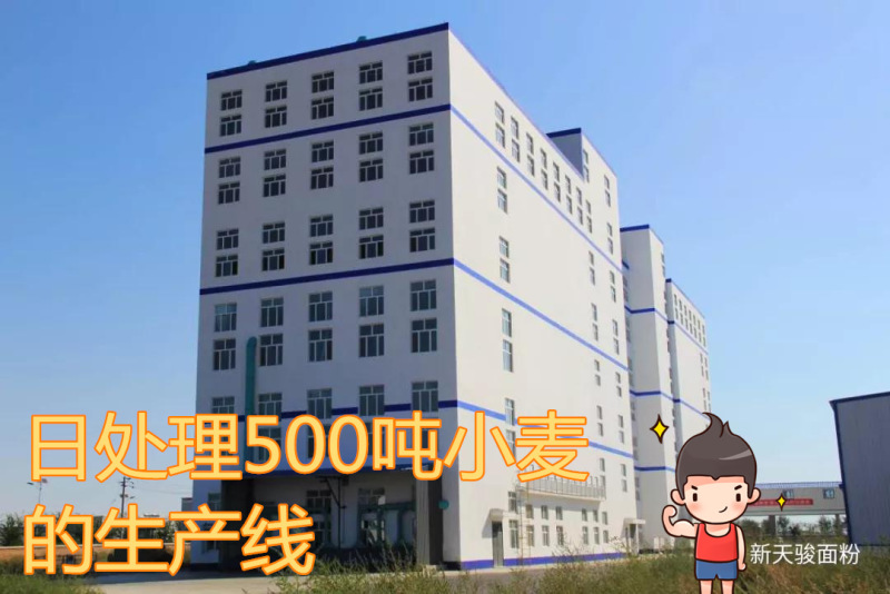 正常发货新疆天骏面粉5kg10斤塔城小麦粉高筋拉面