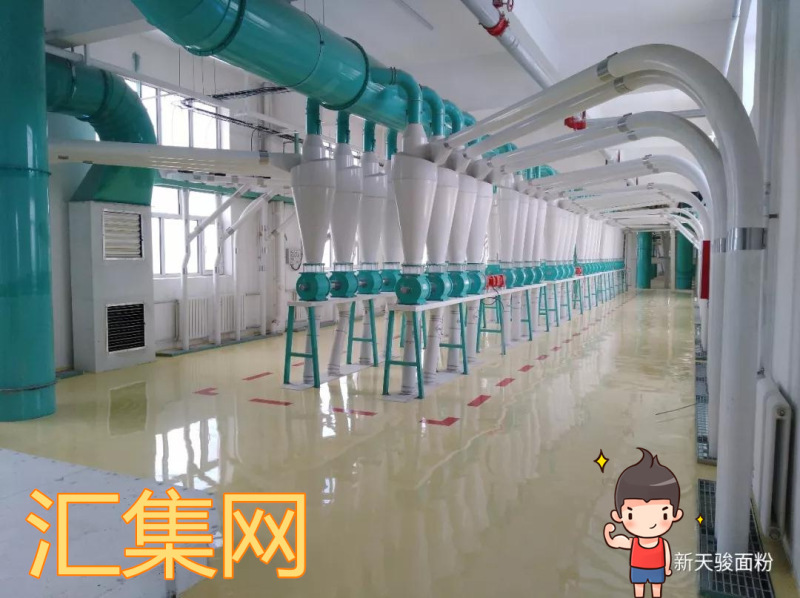 正常发货新疆天骏面粉5kg10斤塔城小麦粉高筋拉面