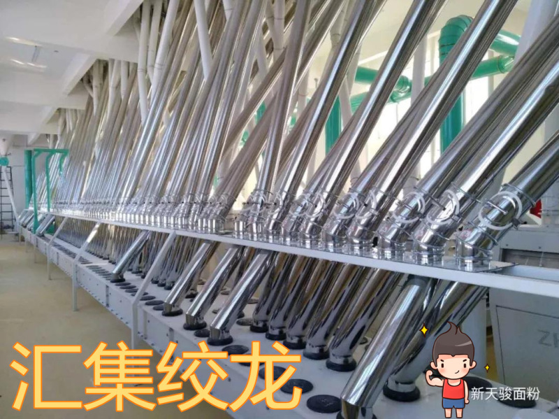 正常发货新疆天骏面粉5kg10斤塔城小麦粉高筋拉面