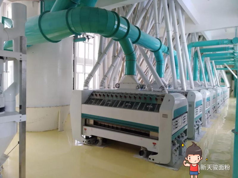 正常发货新疆天骏面粉5kg10斤塔城小麦粉高筋拉面