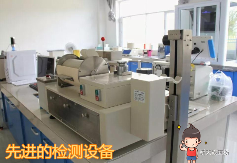 正常发货新疆天骏面粉5kg10斤塔城小麦粉高筋拉面