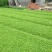 蛇莓自产自销蛇莓种植基地。500万直销