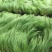 细茎针茅自产自销200万细茎针茅直销