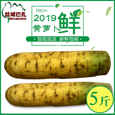 山西运城新鲜水果蔬菜黄皮胡萝卜可做新疆手抓饭5斤装