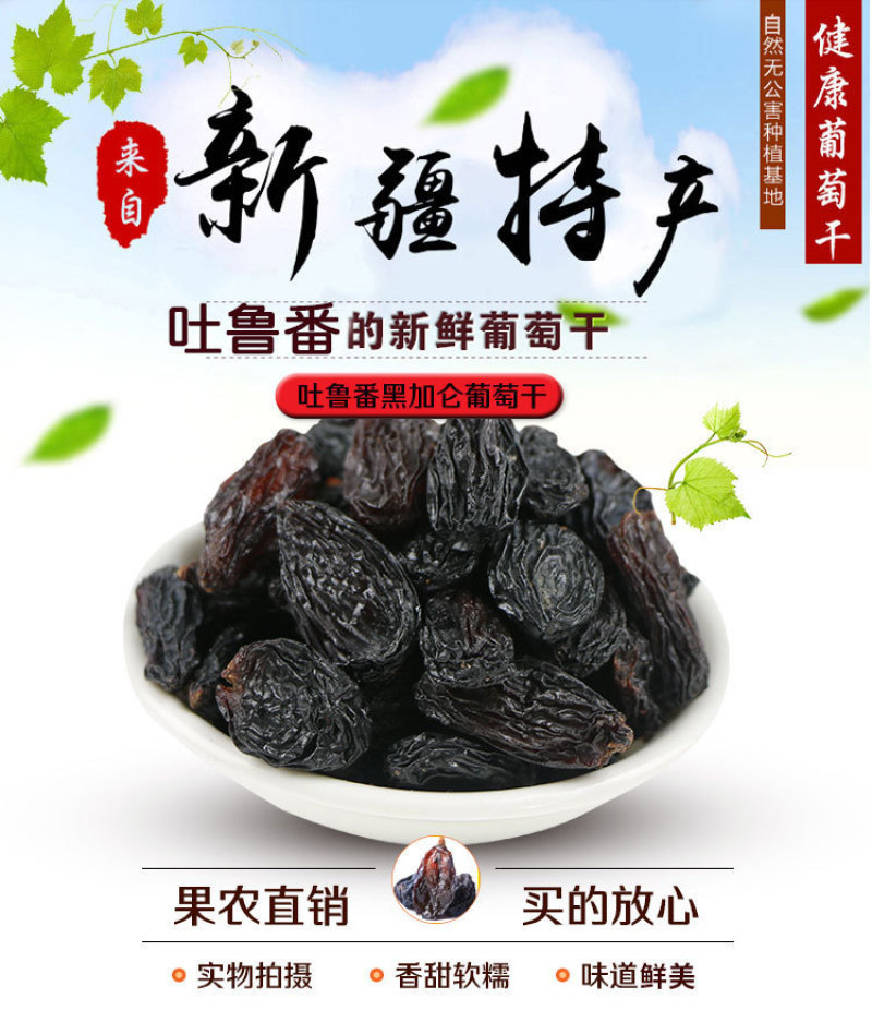 吐鲁番黑加仑葡萄干500g袋去柄黑葡萄干原味黑香妃提子干