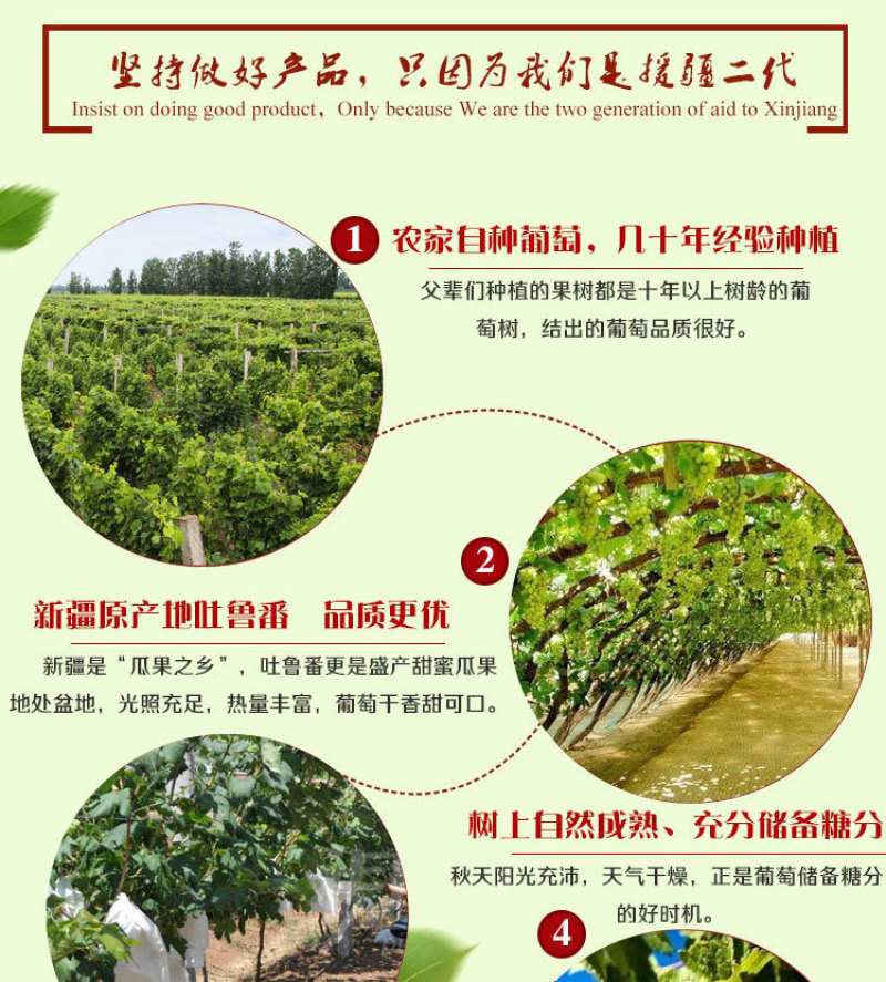 吐鲁番黑加仑葡萄干500g袋去柄黑葡萄干原味黑香妃提子干