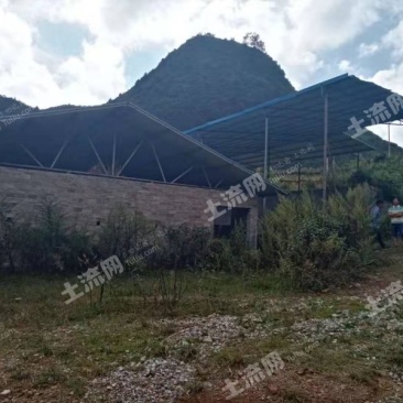 文山广南县200亩农场合作或转让
