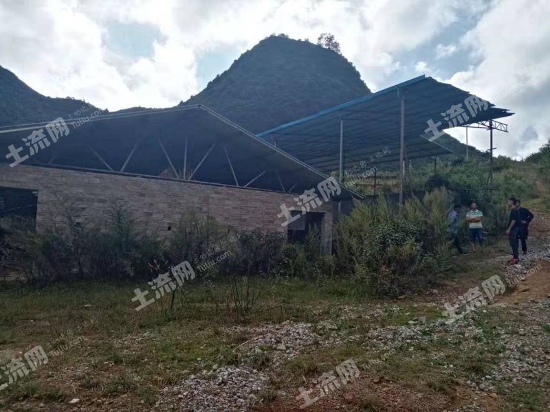 文山广南县200亩农场合作或转让