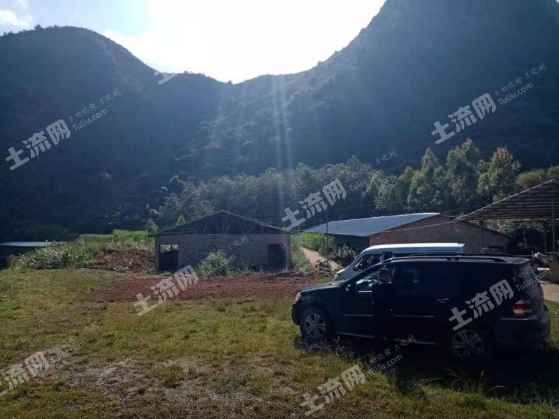 文山广南县200亩农场合作或转让
