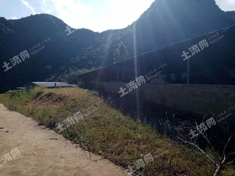 文山广南县200亩农场合作或转让