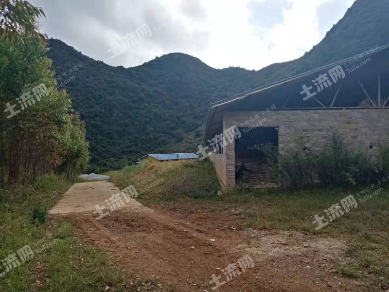 文山广南县200亩农场合作或转让