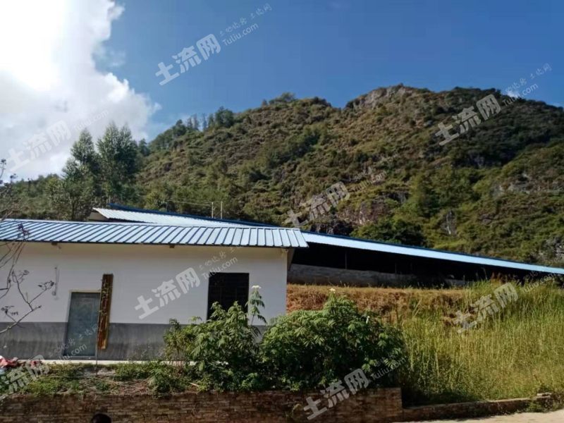 文山广南县200亩农场合作或转让