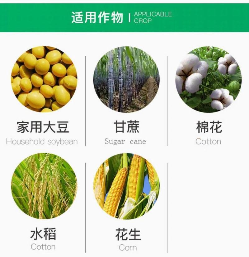 康宽氯虫苯甲酰胺小菜蛾吊丝虫菜青虫杀虫剂进口药