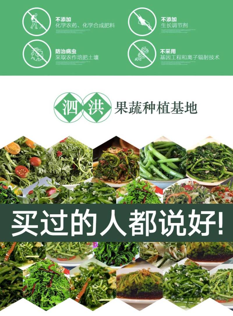 当季新鲜茼蒿（芦蒿）
