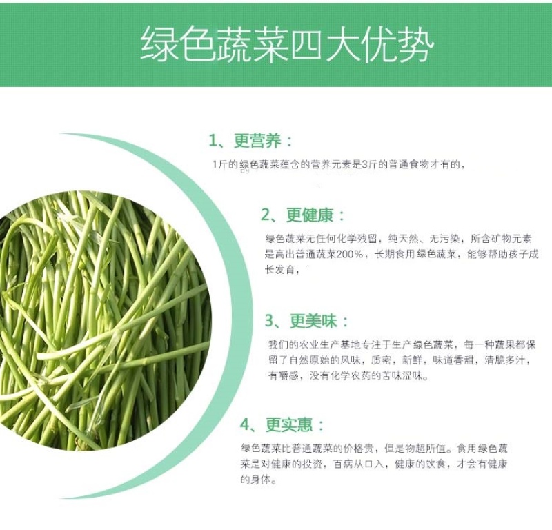 当季新鲜茼蒿（芦蒿）